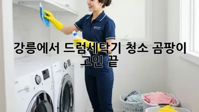 강릉에서 드럼세탁기 청소, 곰팡이 고민 끝!
