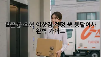 월출동 소형 이삿짐, 걱정 뚝! 용달이사 완벽 가이드